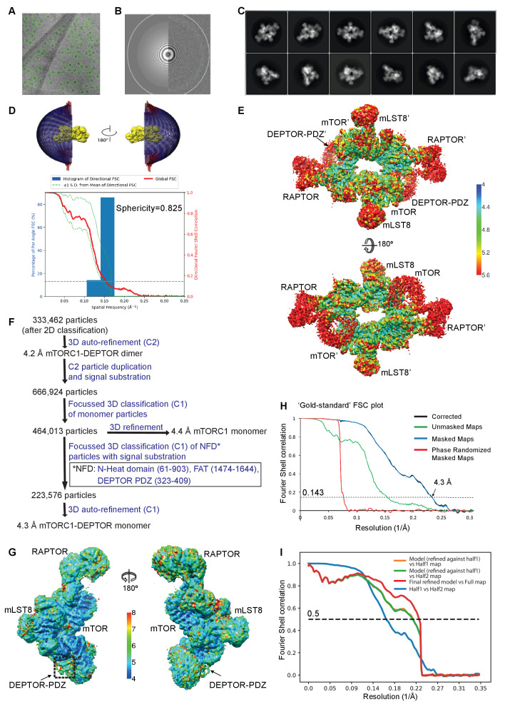 PMC8439657 – fig3s2