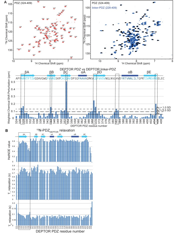 PMC8439657 – fig5s2