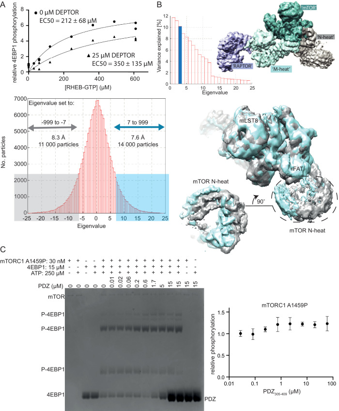 PMC8439657 – fig6s1
