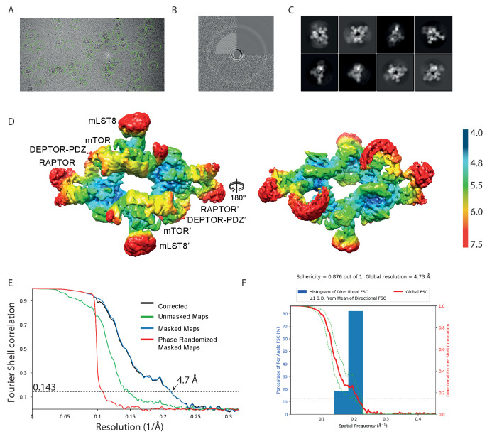 PMC8439657 – fig6s2