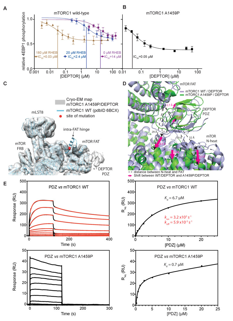 PMC8439657 – fig6