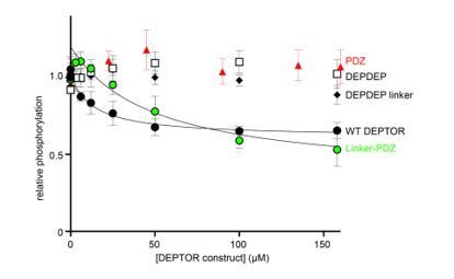 PMC8439657 – respfig1