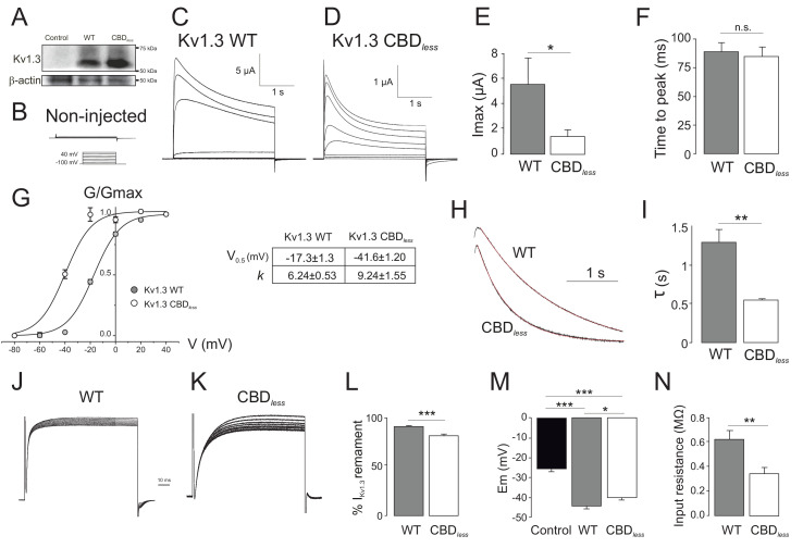 PMC8248986 – fig1s3