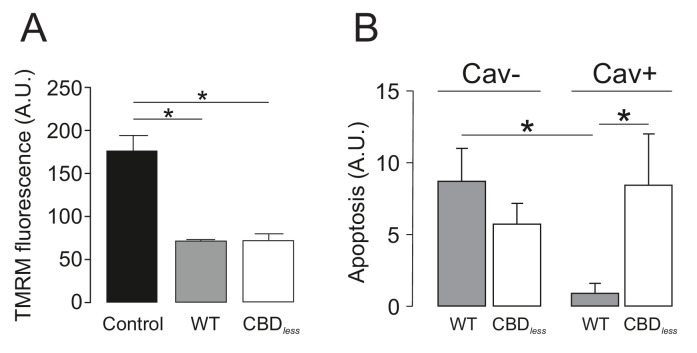 PMC8248986 – fig10