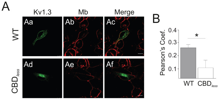 PMC8248986 – fig3s1