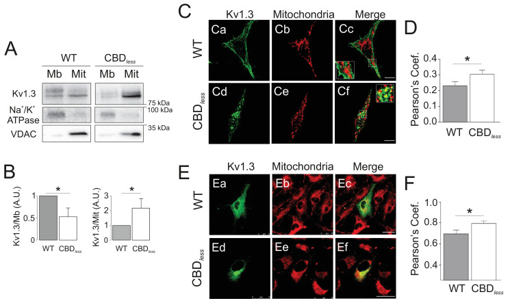 PMC8248986 – fig3