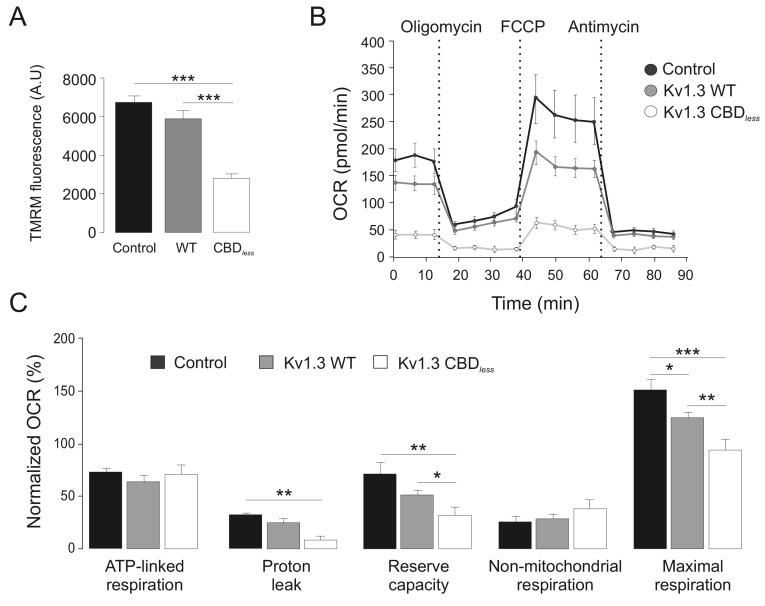 PMC8248986 – fig5