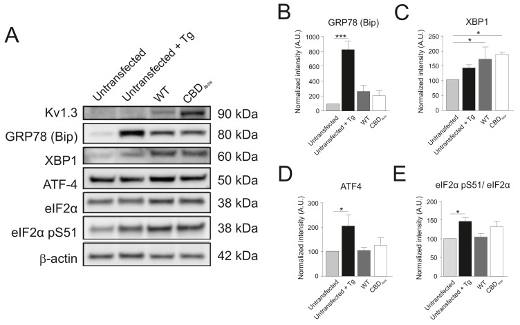 PMC8248986 – fig6s3