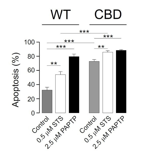 PMC8248986 – respfig1