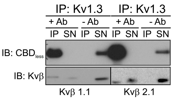 PMC8248986 – respfig2
