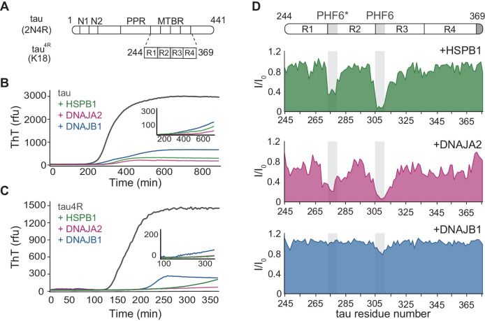 PMC8437434 – fig1