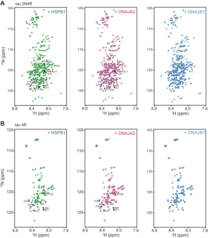PMC8437434 – fig1s1