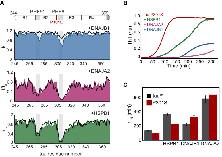 PMC8437434 – fig4s4