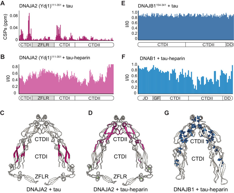 PMC8437434 – fig6