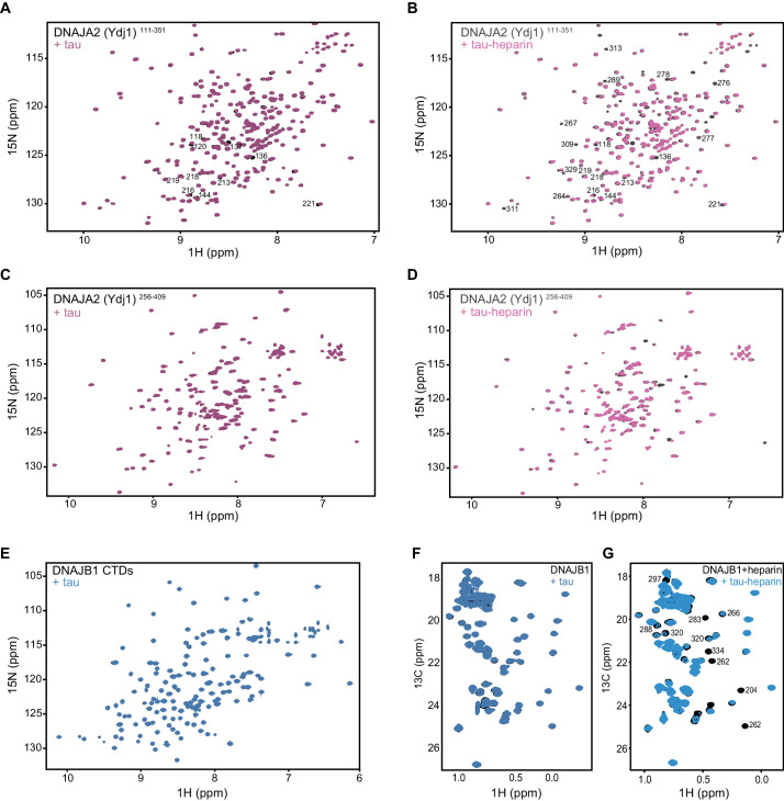 PMC8437434 – fig6s1