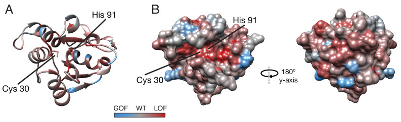 PMC9270033 – fig2s1