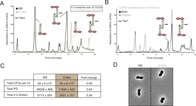 PMC9270033 – fig4s1