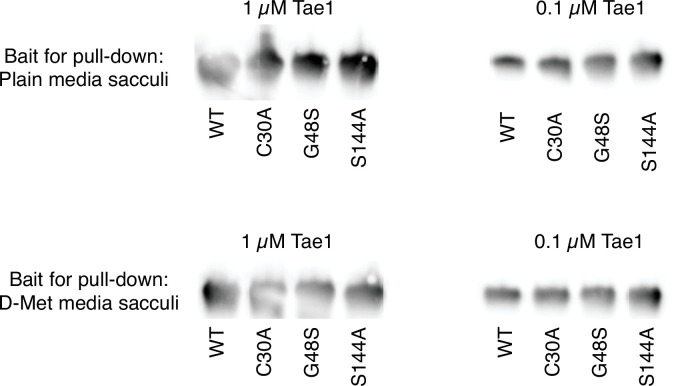 PMC9270033 – fig4s2