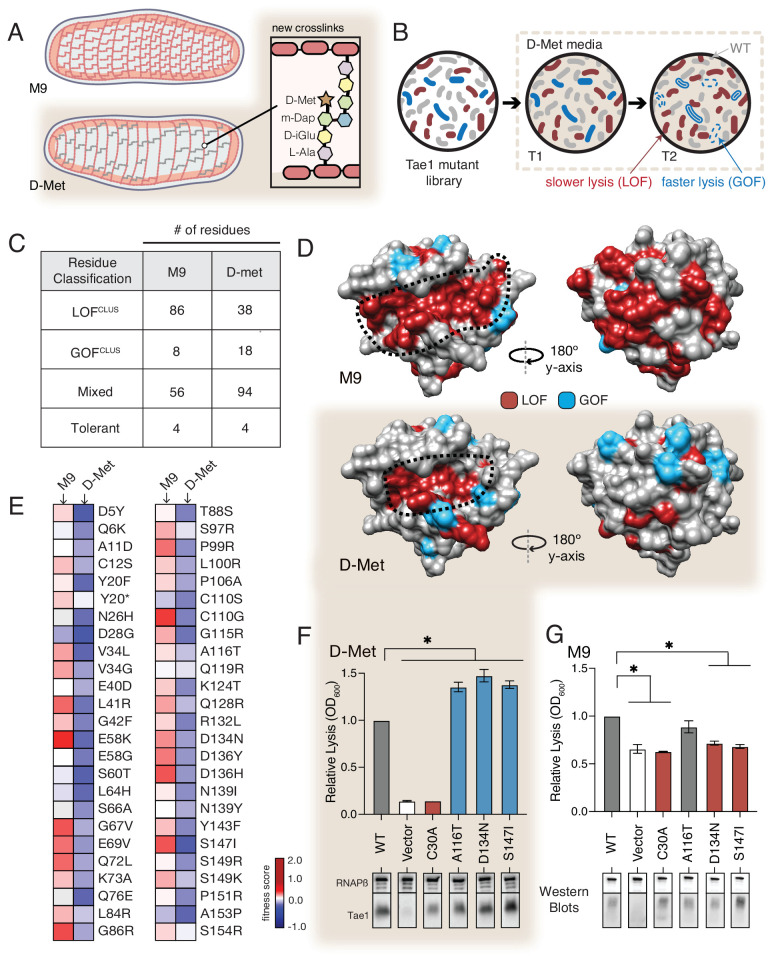 PMC9270033 – fig4