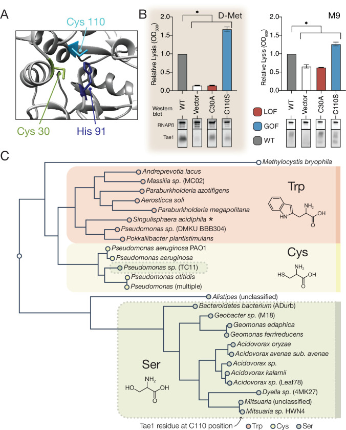 PMC9270033 – fig5