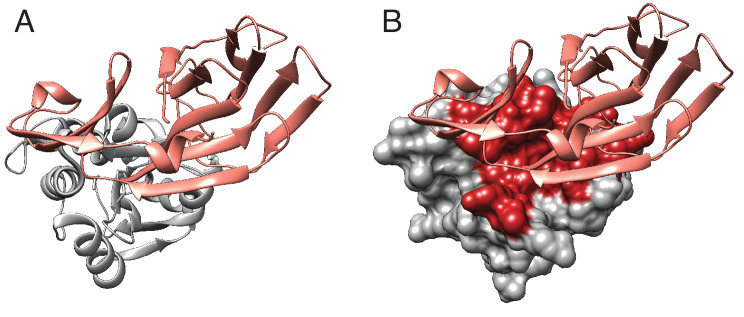 PMC9270033 – fig6s1