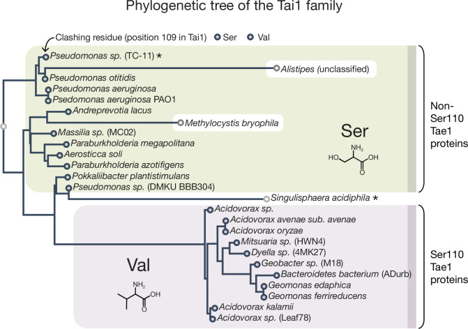 PMC9270033 – fig6s2