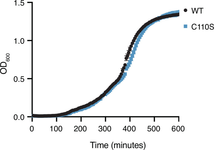PMC9270033 – fig6s3