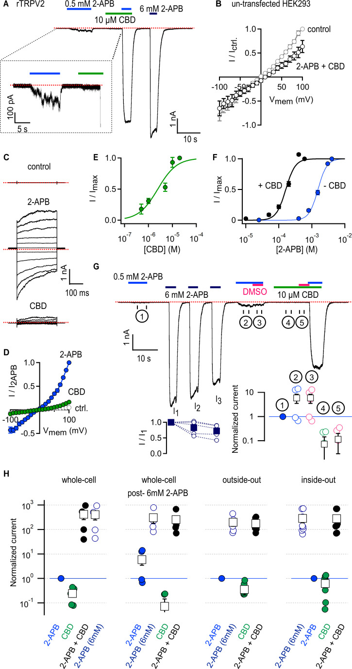 PMC10195083 – fig1