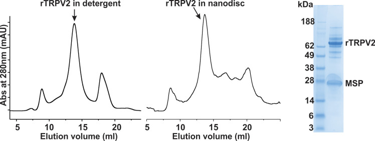 PMC10195083 – fig3s1