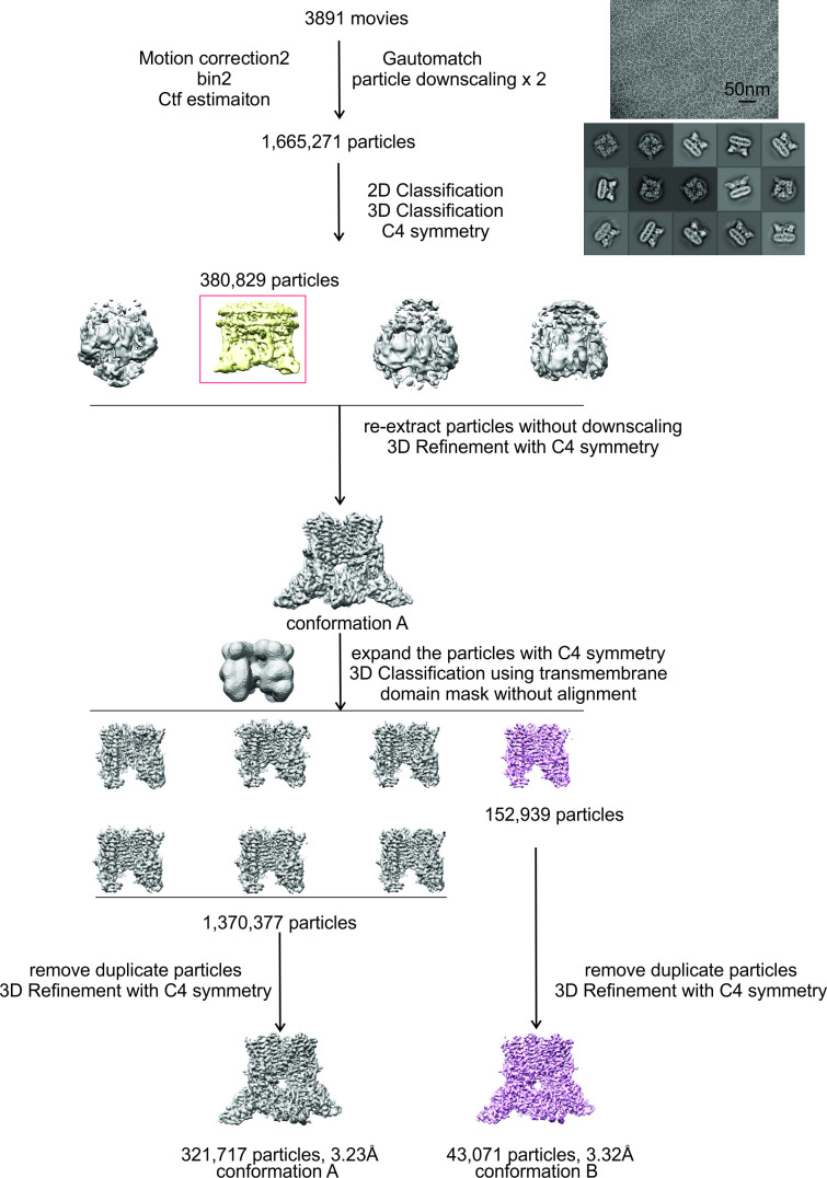PMC10195083 – fig3s2