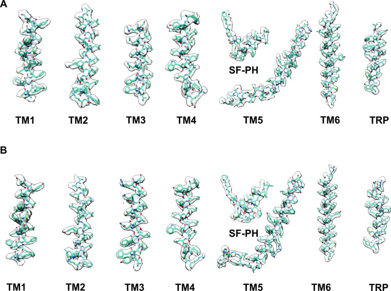 PMC10195083 – fig3s4