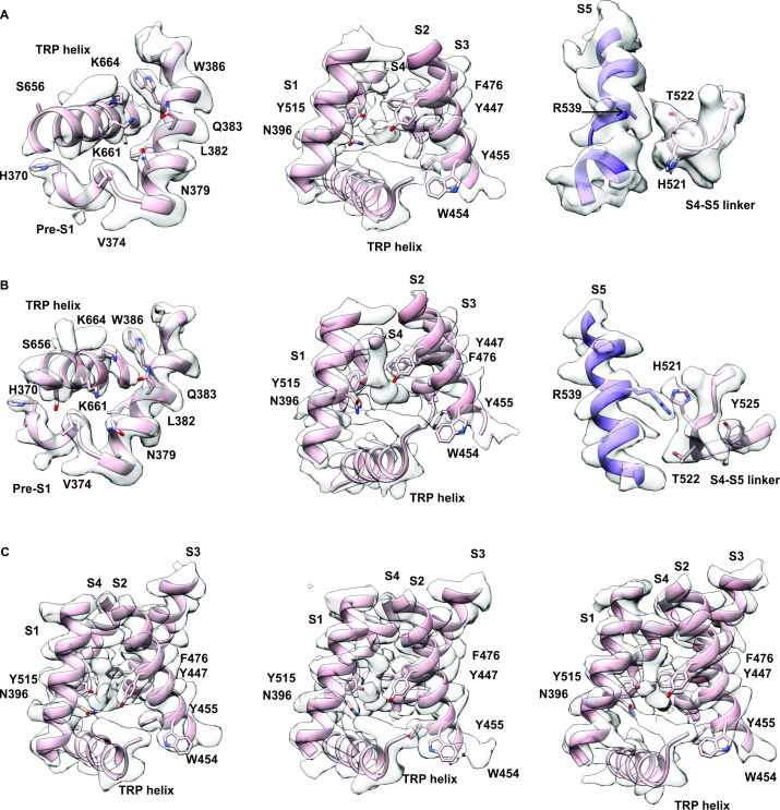 PMC10195083 – fig3s5