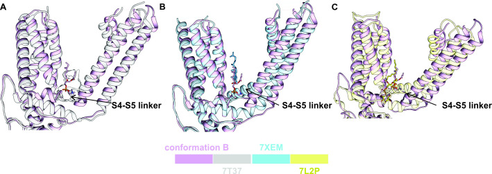 PMC10195083 – fig3s6