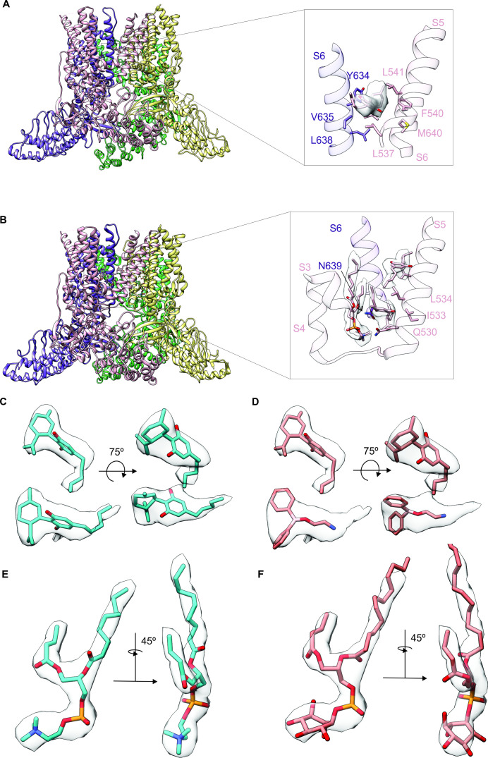 PMC10195083 – fig3