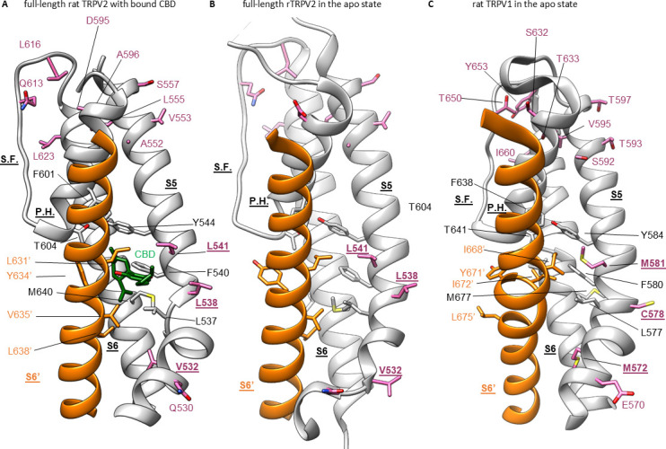 PMC10195083 – fig5