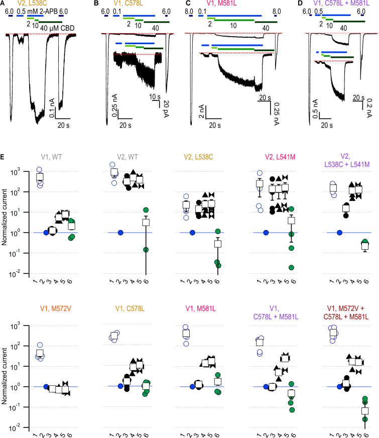 PMC10195083 – fig6s2