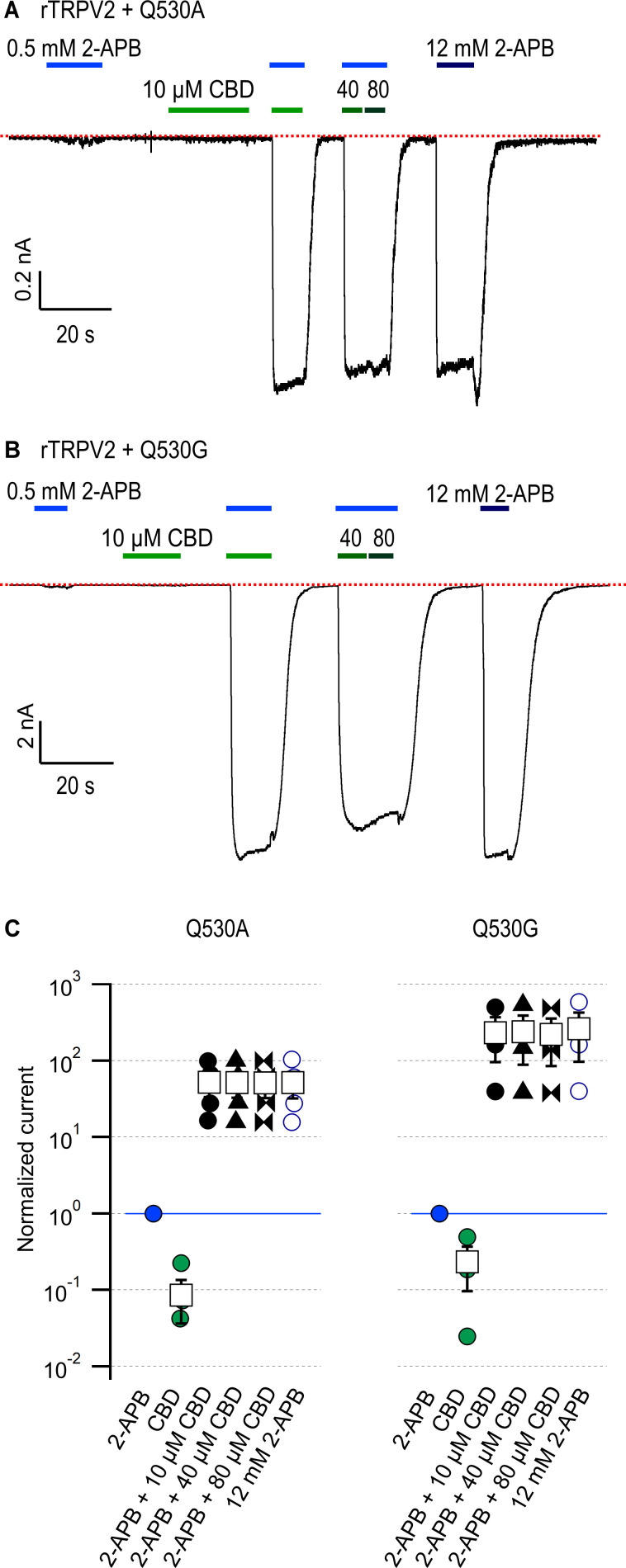 PMC10195083 – fig6s3