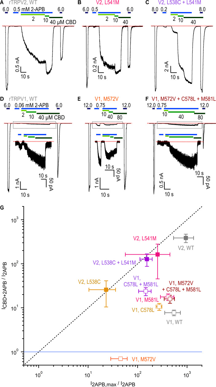 PMC10195083 – fig6