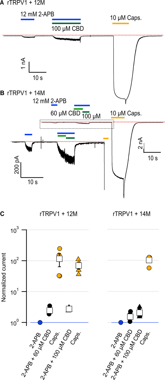 PMC10195083 – fig7