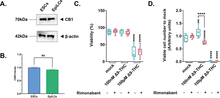 PMC10752584 – fig2