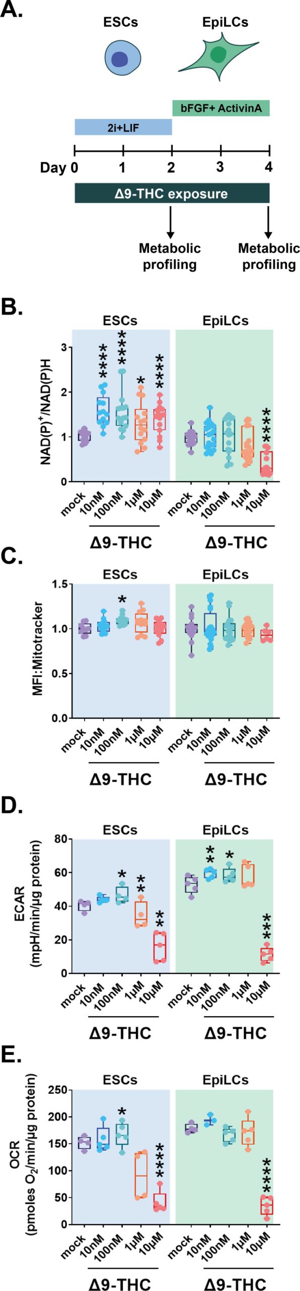 PMC10752584 – fig3