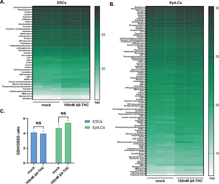 PMC10752584 – fig4s1
