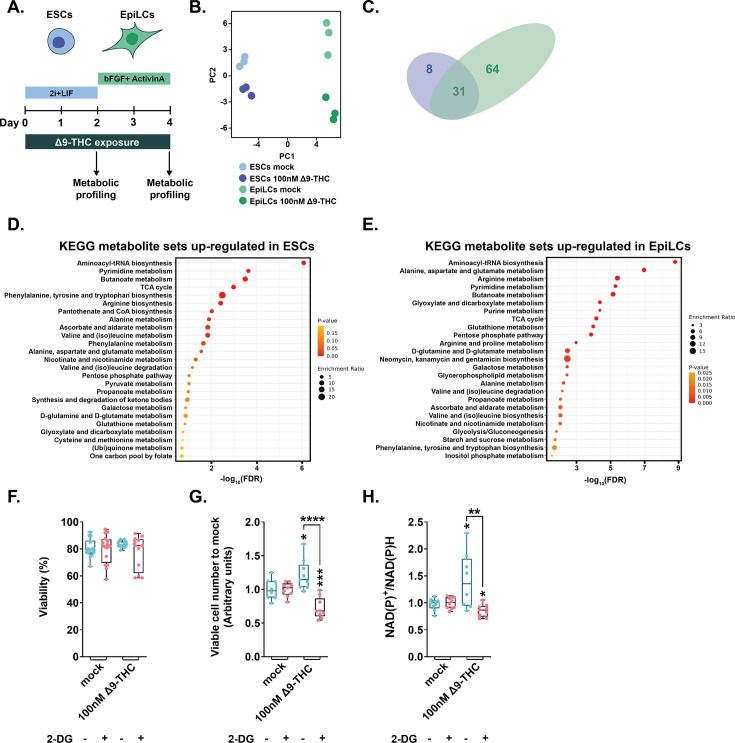 PMC10752584 – fig4