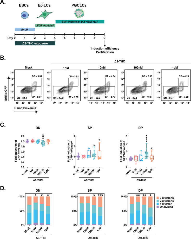 PMC10752584 – fig6