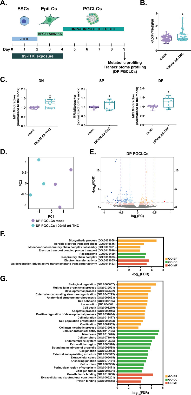 PMC10752584 – fig7