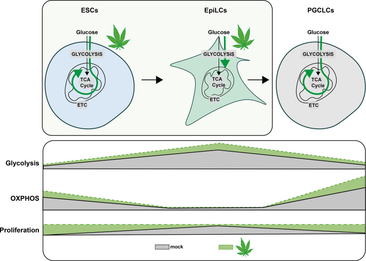 PMC10752584 – fig8