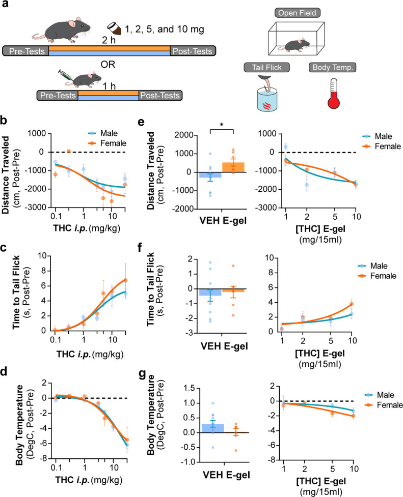 PMC10945583 – fig1s3