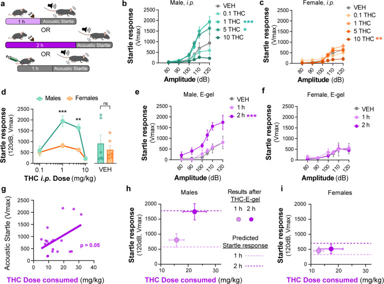 PMC10945583 – fig5