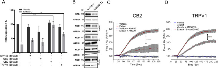 PMC11390110 – fig2s1