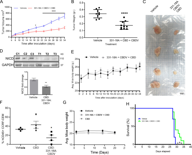 PMC11390110 – fig6